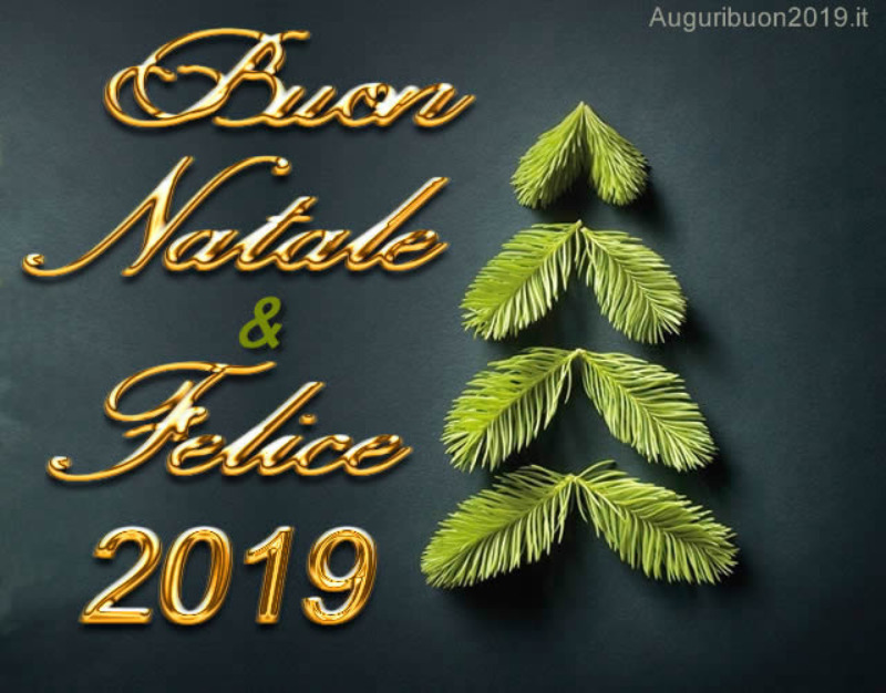  Sospensione didattica festività di Natale 