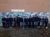 progetto crocus